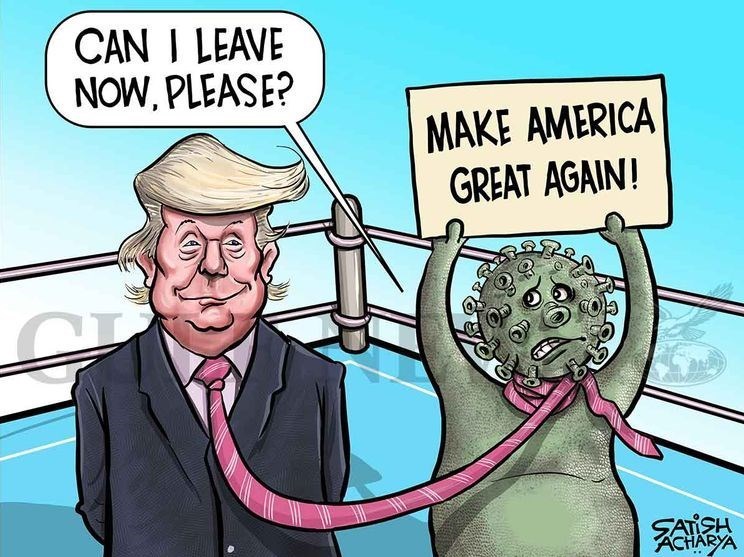 دونالد ترامپ , هنرهای تجسمی , کاریکاتور , عکس , 