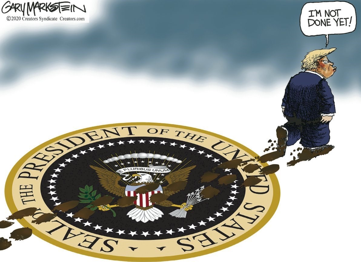 دونالد ترامپ , هنرهای تجسمی , کاریکاتور , عکس , 