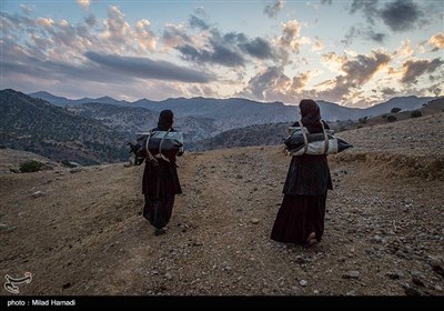  دختران این خانواده روزانه به چشمه‌ای که در پشت کوهستان قرار دارد رفته و آب می آورند وبرای پخت غذا و در زمستان برای گرم کردن خود از هیزوم های درخت بلوط از دل کوههای مشرف به محل سکونت آنها تهیه میکنند 