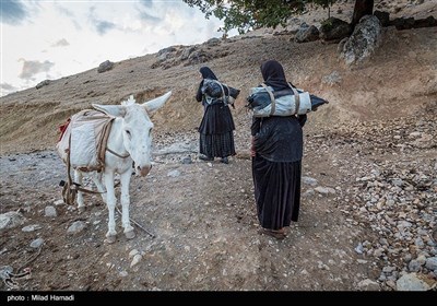 حالا این دو خانواده به عنوان آخرین بازماندگان در ارتفاعات اندیکا با ادامه زندگی در غارهای تاریک تلاش در حفظ زمین های اجدادی دارند. 