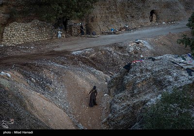 کنده های کُتُک سوخته در اندیکا خوزستان