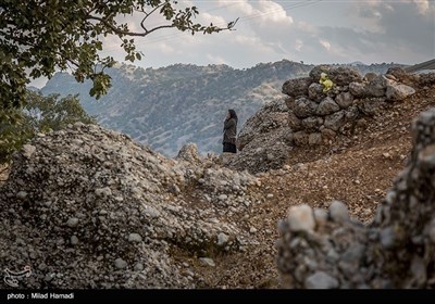 کنده های کُتُک سوخته در اندیکا خوزستان