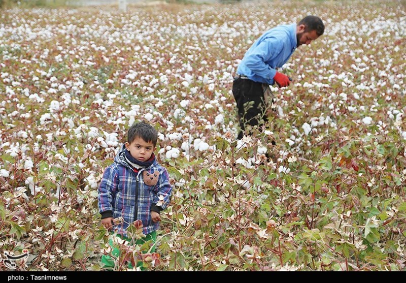 استانداری خراسان شمالی , کشاورزی ,