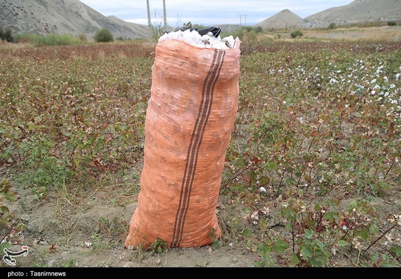 استانداری خراسان شمالی , کشاورزی ,