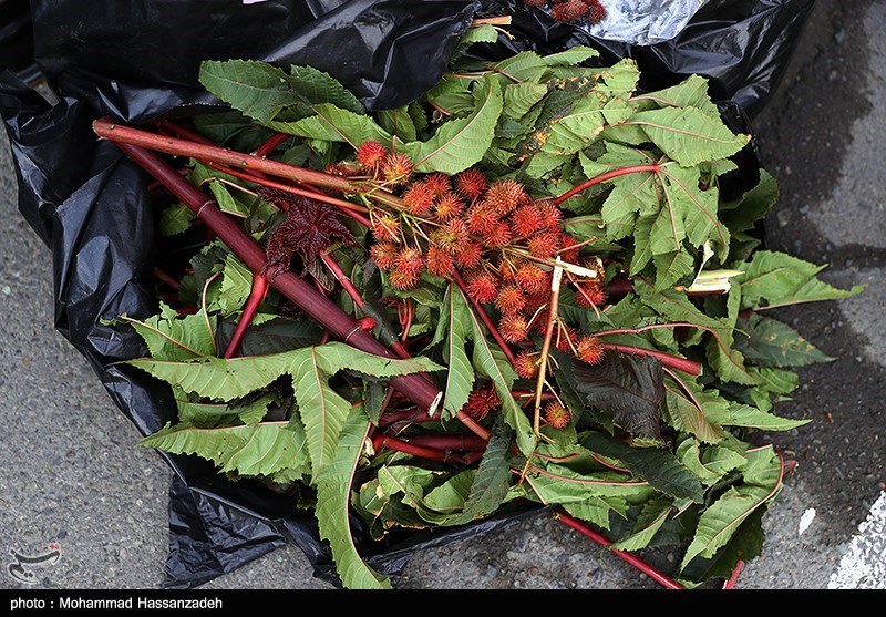 پلیس | ناجا | نیروی انتظامی جمهوری اسلامی ایران , کشفیات پلیس , کشفیات , عملیات پلیس , پلیس پیشگیری , کلانتری , پلیس 110 , مواد مخدر , قاچاق مواد مخدر , 