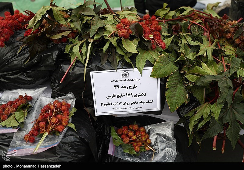 پلیس | ناجا | نیروی انتظامی جمهوری اسلامی ایران , کشفیات پلیس , کشفیات , عملیات پلیس , پلیس پیشگیری , کلانتری , پلیس 110 , مواد مخدر , قاچاق مواد مخدر , 