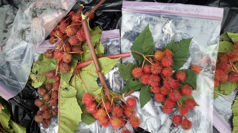 پلیس | ناجا | نیروی انتظامی جمهوری اسلامی ایران , کشفیات پلیس , کشفیات , عملیات پلیس , پلیس پیشگیری , کلانتری , پلیس 110 , مواد مخدر , قاچاق مواد مخدر , 