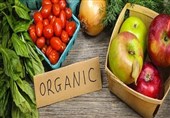 ایران رتبه 79 تولید محصولات ارگانیک جهان قرار گرفت