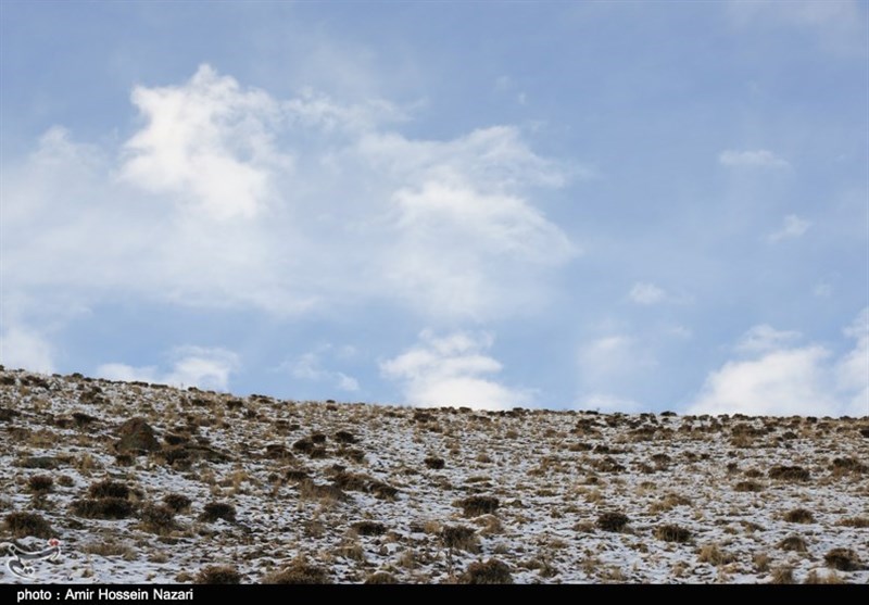 استانداری قزوین , 