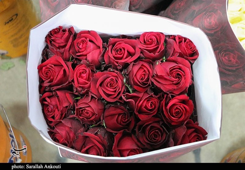 استان کرمان , 