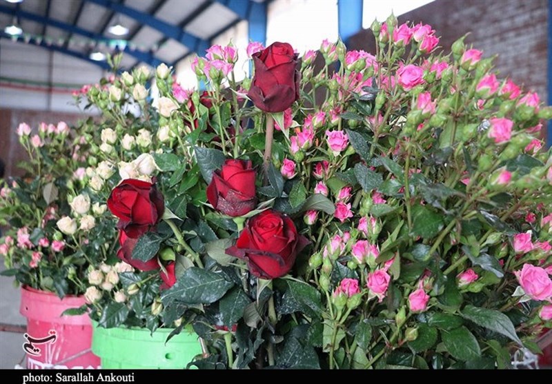 استان کرمان , 