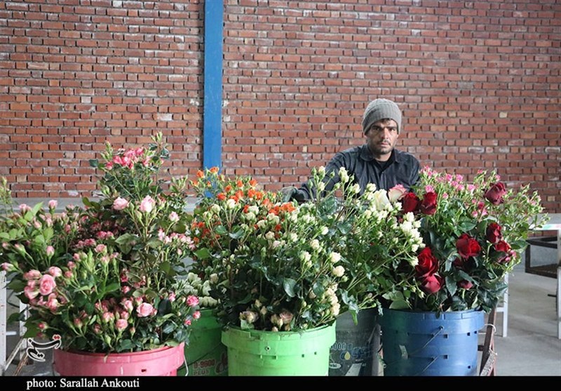 استان کرمان , 