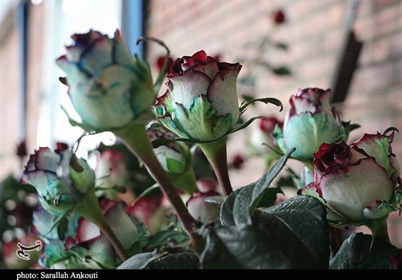 استان کرمان , 