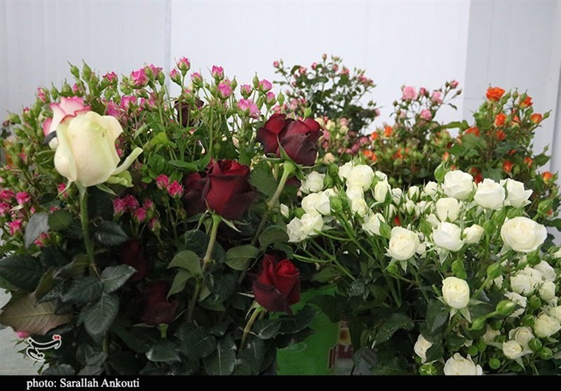 استان کرمان , 