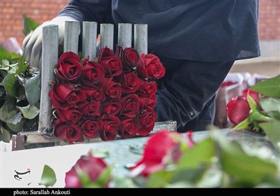 چهارمحال و بختیاری در آستانه جهش تولید و صادرات گل و گیاهان زینتی
