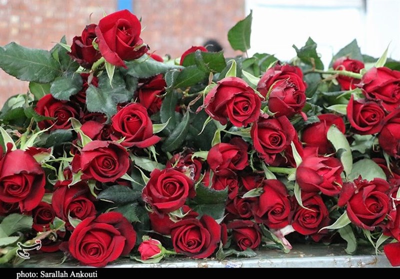 مشهد مقدس , اخبار مشهد , خراسان رضوی , اخبار استان خراسان رضوی , بازار , شب یلدا , 