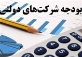 فقدان الگوی مطلوب ورود مجلس به بودجه شرکتهای دولتی/ زیان ده شدن شرکتها در سایه سازوکار عجیب وصول سود سهام و مالیات