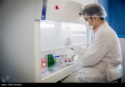 انجام سالانه 2.5 میلیارد تست در 7 هزار آزمایشگاه کشور