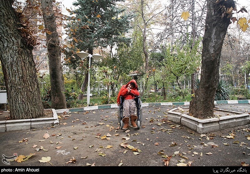 سازمان بهزیستی کشور , 