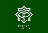 وزارت اطلاعات: کلیدی‌ترین عنصر پشتیبانی عملیات تروریستی شاهچراغ دستگیر شد