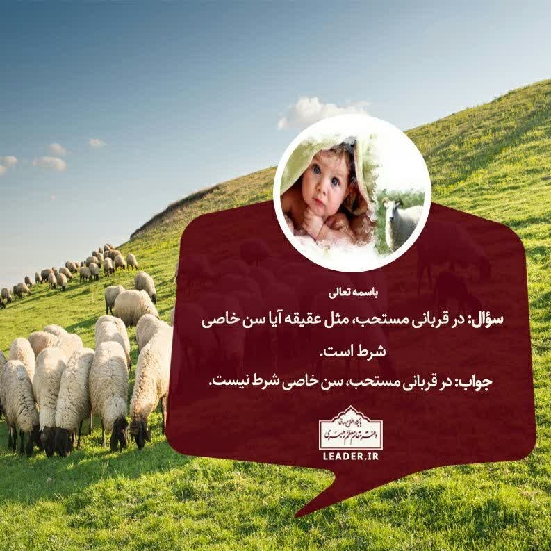 رهبر , احکام دینی , آیت الله خامنه‌ ای , 