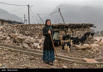 یک روز بارانی در روستای کتک بزرگ