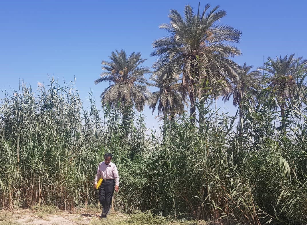 مستند , سینما , دفاع مقدس , 