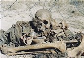 جزئیاتی از کشف پیکر مطهر 7 شهید دفاع مقدس در تفحص+فیلم