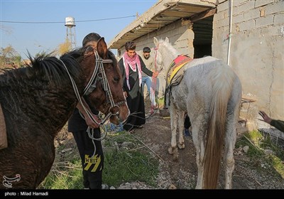 جشن ولادت حضرت فاطمه زهرا (س)و روز زن در مضیف میسان