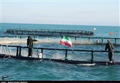 سرمایه‌گذاری 1000میلیارد تومانی اوقاف بوشهر در صنعت پرورش ماهی