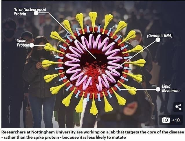 واکسن کرونا ,