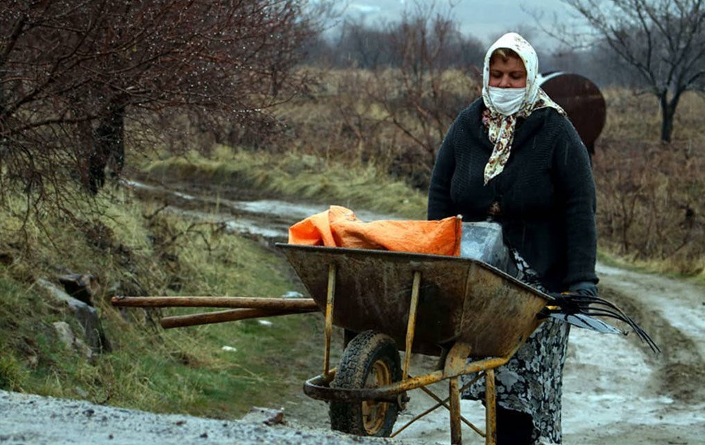 عکاسی , نقاشی , هنرهای تجسمی , کانون پرورش فکری , بهداشت و درمان , کرونا ,