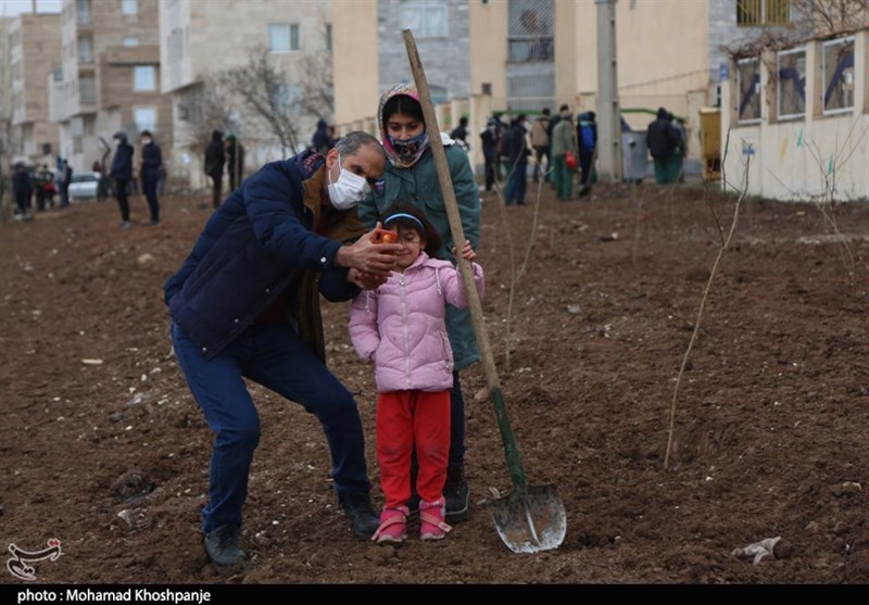 روز درختکاری , استانداری قزوین , 