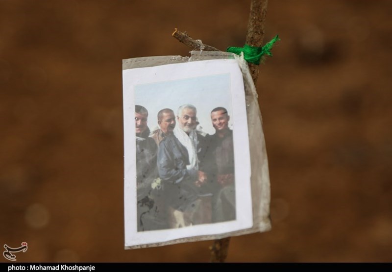 روز درختکاری , استانداری قزوین , 