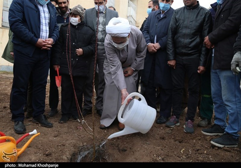 روز درختکاری , استانداری قزوین , 