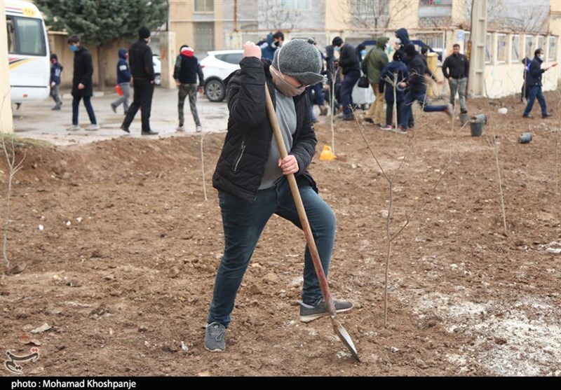 روز درختکاری , استانداری قزوین , 