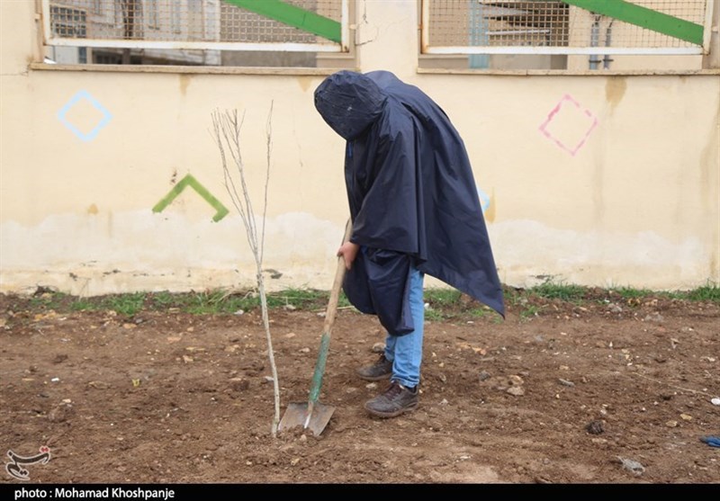 روز درختکاری , استانداری قزوین , 