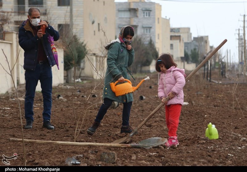 روز درختکاری , استانداری قزوین , 