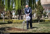 کاشت یک اصله نهال میوه توسط محمدباقر قالیباف رئیس مجلس شورای اسلامی