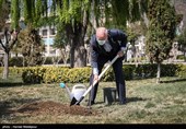 کاشت یک اصله نهال میوه توسط محمدباقر قالیباف رئیس مجلس شورای اسلامی