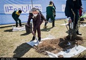 مراسم کاشت درخت صلح و دوستی