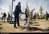 مراسم کاشت درخت صلح و دوستی