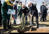 مراسم کاشت درخت صلح و دوستی