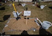 مراسم کاشت درخت صلح و دوستی