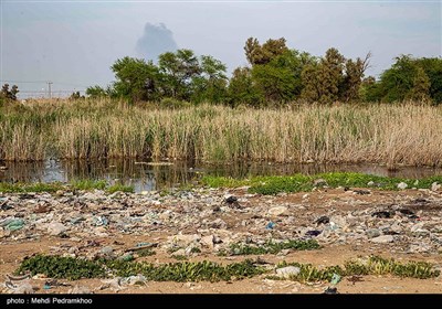 زخم زباله بر تن پارک گمبوعه