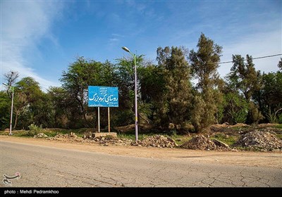 زخم زباله بر تن پارک گمبوعه