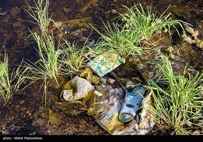 زخم زباله بر تن پارک گمبوعه