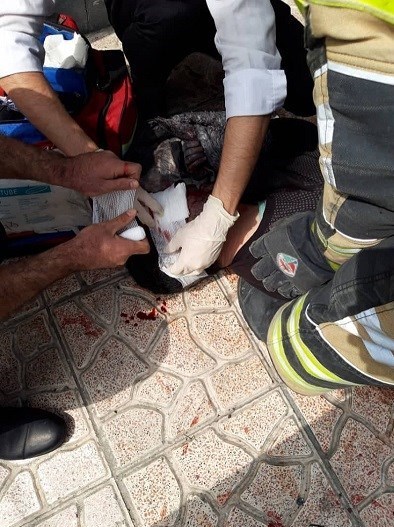 آتش‌نشانی , سازمان آتش‌نشانی تهران , آتش‌سوزی , چهارشنبه سوری | چهارشنبه آخر سال , 