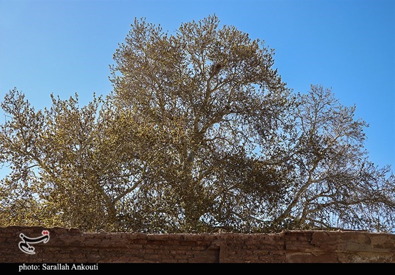 استان کرمان , 