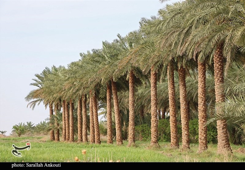 استان کرمان , 